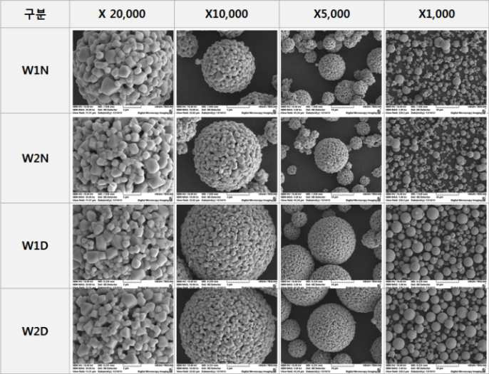 Wet milling process에 의해 합성된 고용량 LMO SEM사진