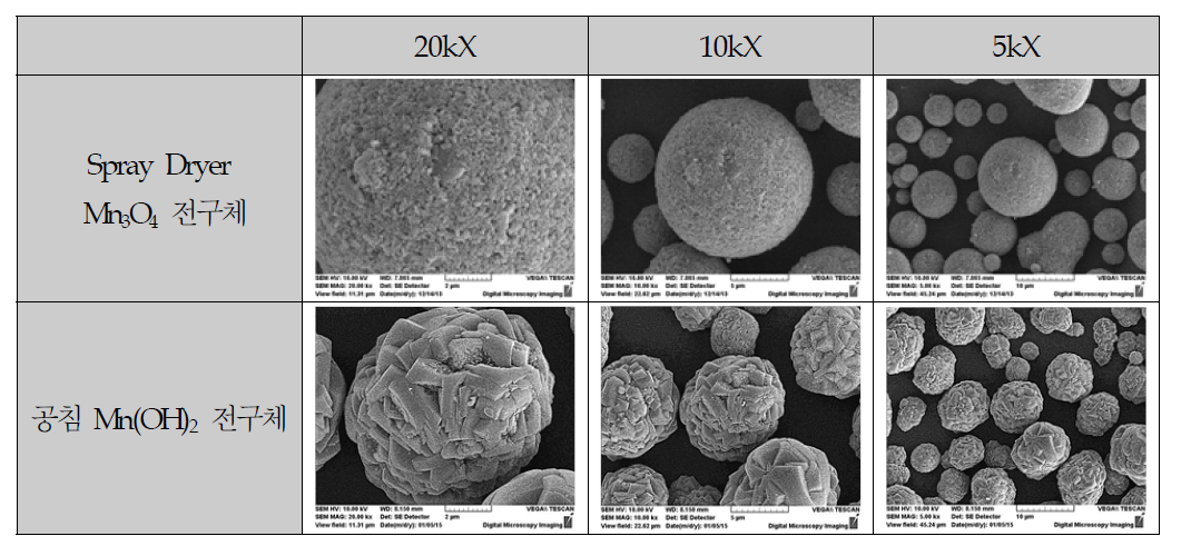 공침 전구체와 Spray dryer 전구체 비교