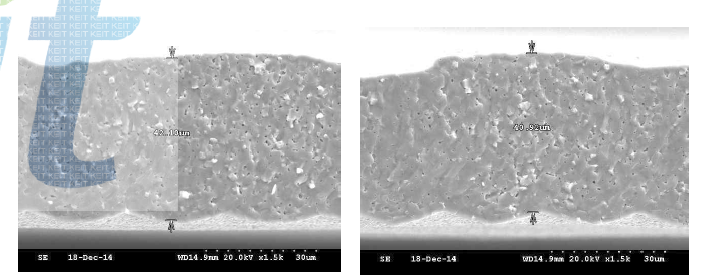 SEM 분석을 통한 소결된 Ferrite Sheet 두께