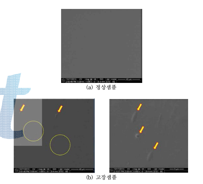 고장 샘플의 SEM 분석 모습.