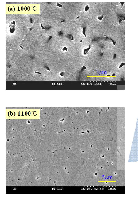 (a)1000℃, (b)1100℃에서 소결한 y=0.1 페라이트의 FE-SEM 사진