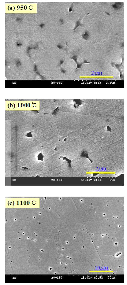 (a)950℃, (b)1000℃, (c)1100℃에서 소결한 y=0.2 페라이트의 FE-SEM 사진