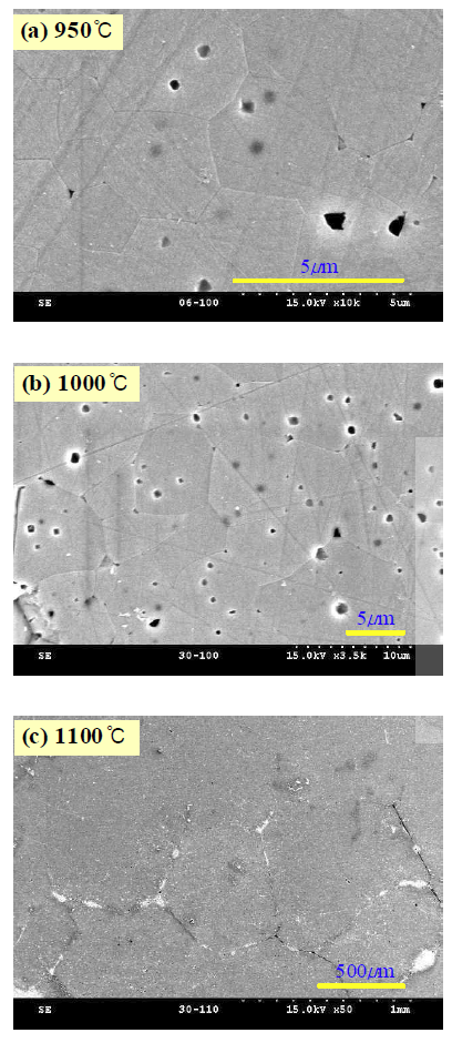 (a)950℃, (b)1000℃, (c)1100℃에서 소결한 y=0.3 페라이트의 FE-SEM 사진