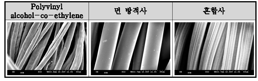 측면 사진