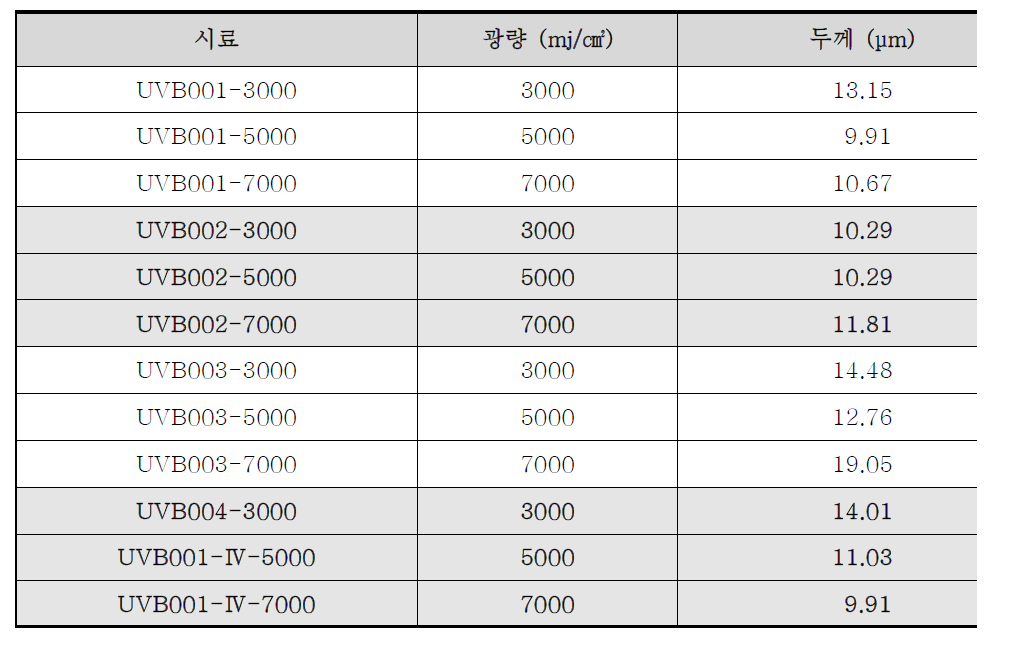 SEM 으로 관찰된 UV 경화된 Base coating 의 두께