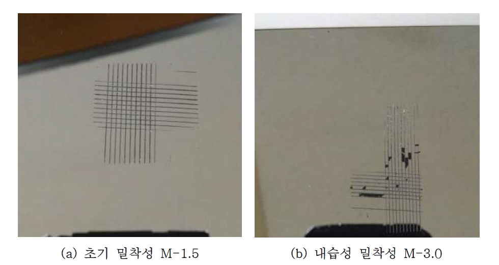 Cr 금속박막 샘플 밀착성 평가 결과 - 중도 SI-M4000#4 상도 CK-VM-T7206#1