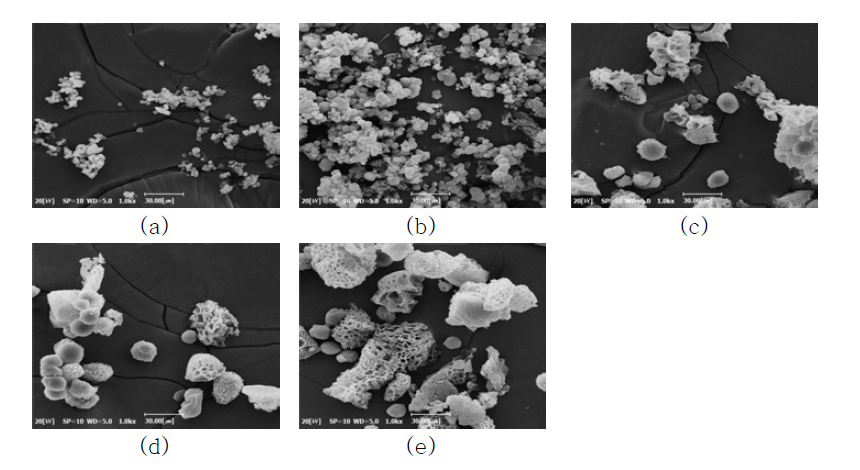 서로 다른 그라프트율을 갖는 PP-g-MAH 필름들의 표면 SEM 사진 (배율 ×1,000). 그라프트율; (a) 0% (미처리 PP), (b) 2.1%, (c) 2.7%, (d) 2.9%, (e) 3.1%