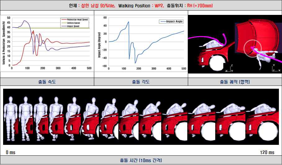 차량 위치별 보행자 충돌 해석 결과(성인 남성 95%tile, RH +700mm)