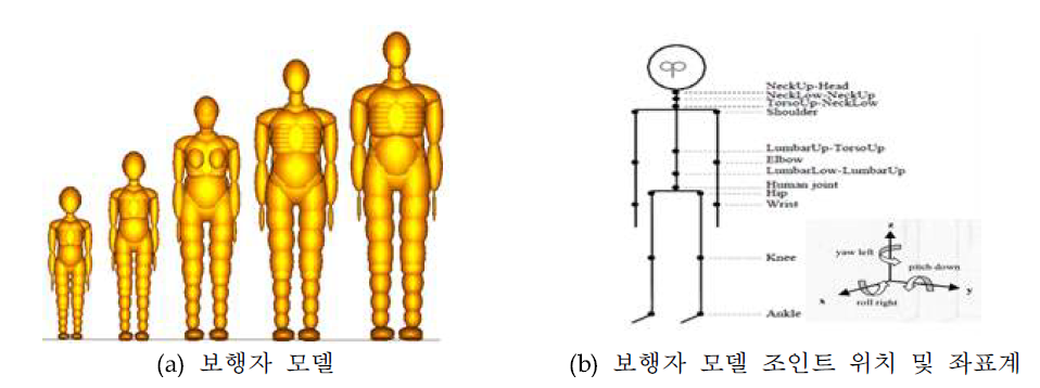 다물체동역학 기반 보행자 모델 형상