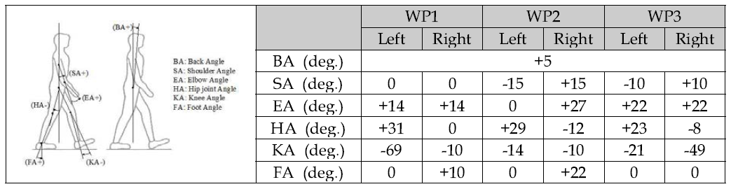 보행자 거동 형태에 따른 조인트 각도