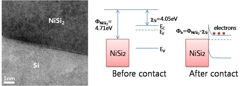형성된 NiSi2의TEM image와 NiSi2/Si의band diagram 모식도