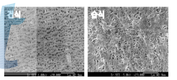 건식 및 습식 분리막의 전자현미경 사진