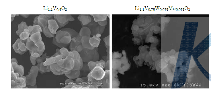 합성된 음극활물질의 전자현미경 사진