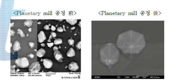 전자혐미경 사진