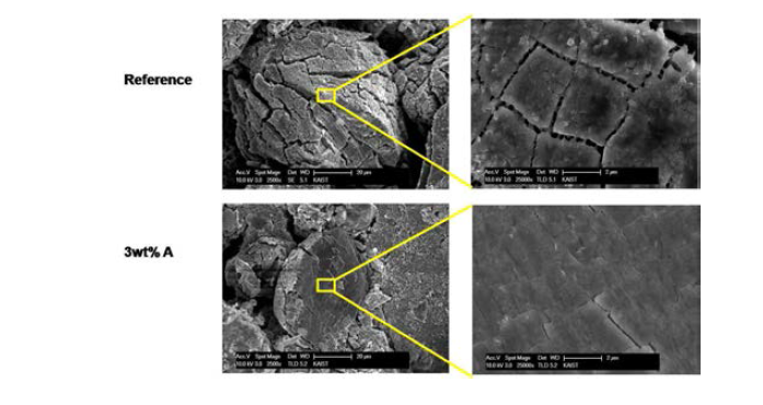 50사이클 구동 후, 첨가제 도입에 따른 전극 표면의 변화 (SEM)