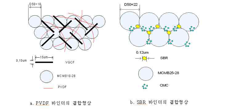 PVDF바인더 및 SBR바인더 결합형상