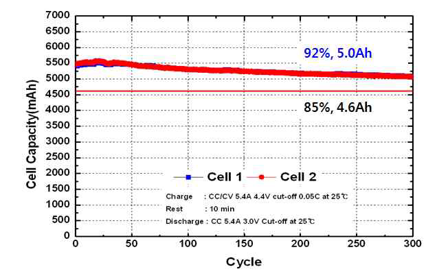 5Ah급 파우치 셀 수명평가