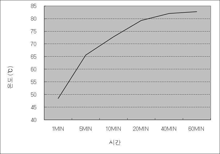 법규 시험시 타이어 온도 계측 결과