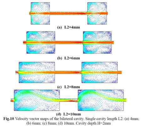 Velocity Vector Maps of the Bilateral Cavity