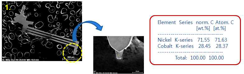 반도체 공정에 적용되는 A사 프로브 팁 형상 및 화학 조성 분석 결과