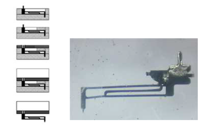 Module 제작 공정과 Wafer Pin Array Frame에서 발생한 Pin불량 사진