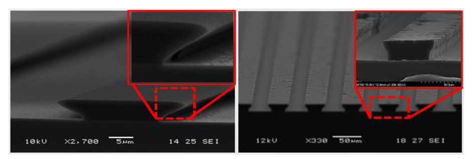 최적 조건으로 제작한 PR 및 DFR Undercut 형상 S.E.M image