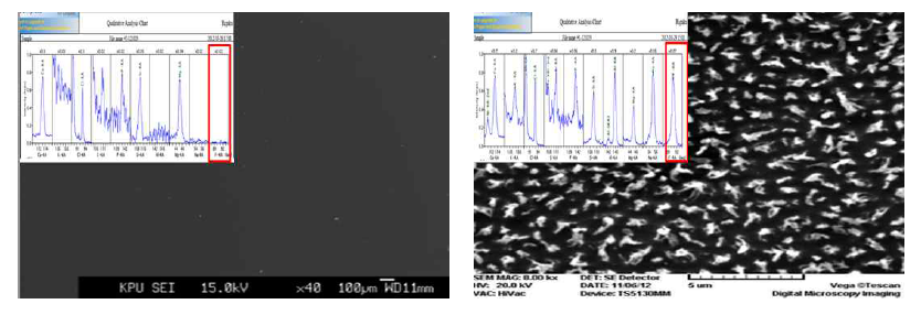 (좌)표면처리 전, (우)표면처리 후 SEM 측정 및 XRF 측정 결과