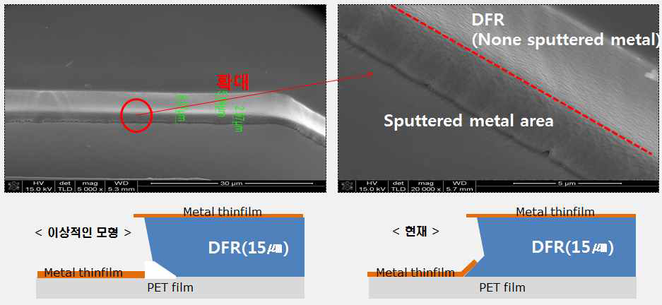 Seed layer 증착 후 DFR side wall의 증착 수준 확인