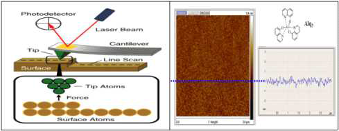 AFM(NanoScope V, Veeco DI) 분석 결과 (Alq3 단면 및 표면)