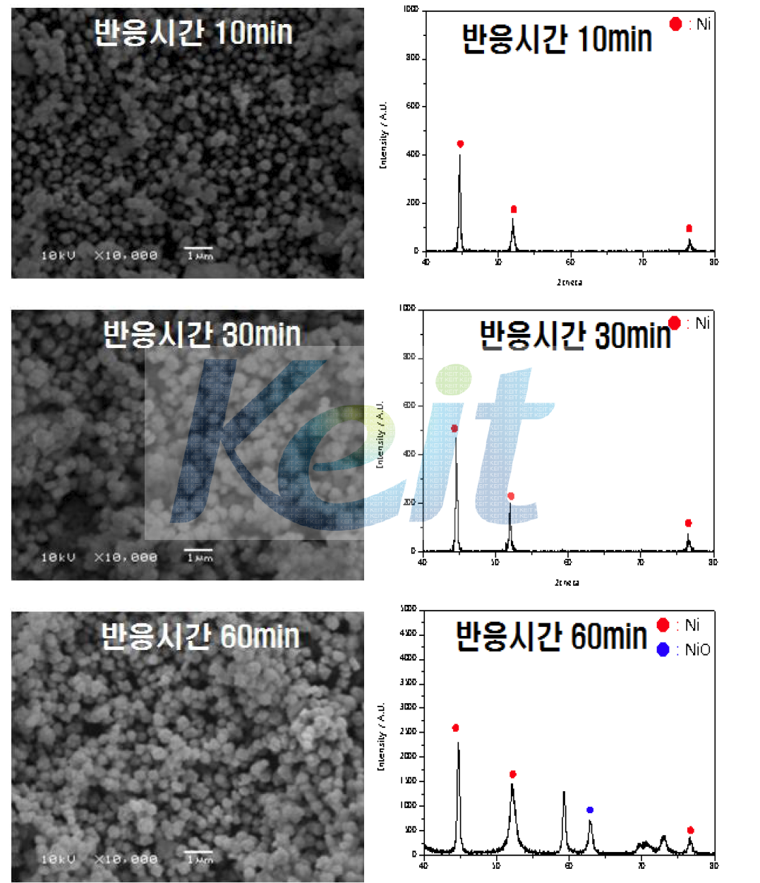 반응시간에 따른 Ni morphology와 결정성 patten