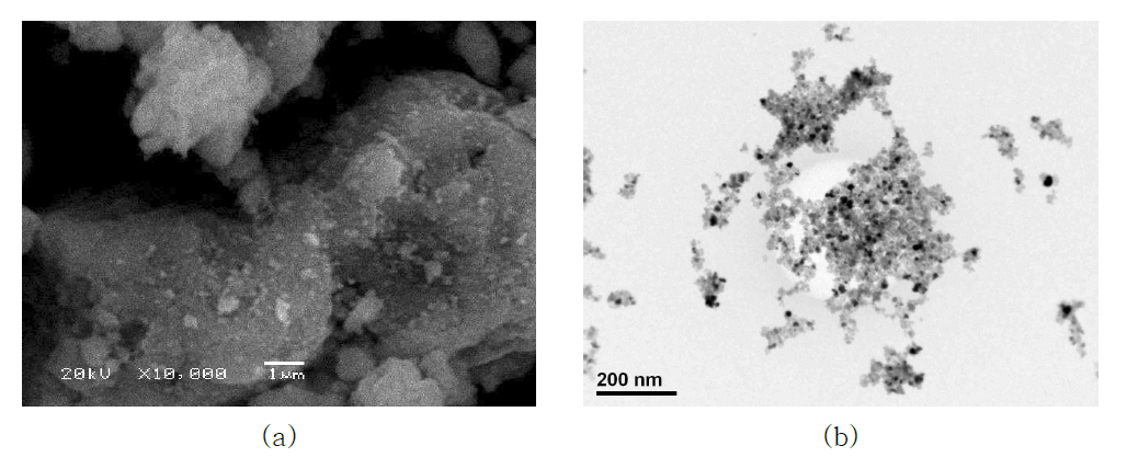 Solvothemal로 합성한 NiO 분말의 (a) SEM, (b) TEM 사진