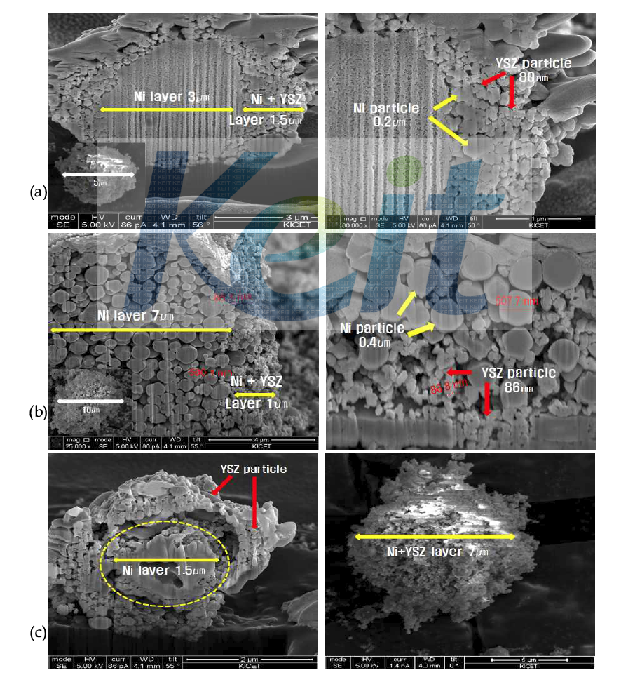 Ni 입자 크기에 따라 제조한 core-shell의 FIB 단면 이미지