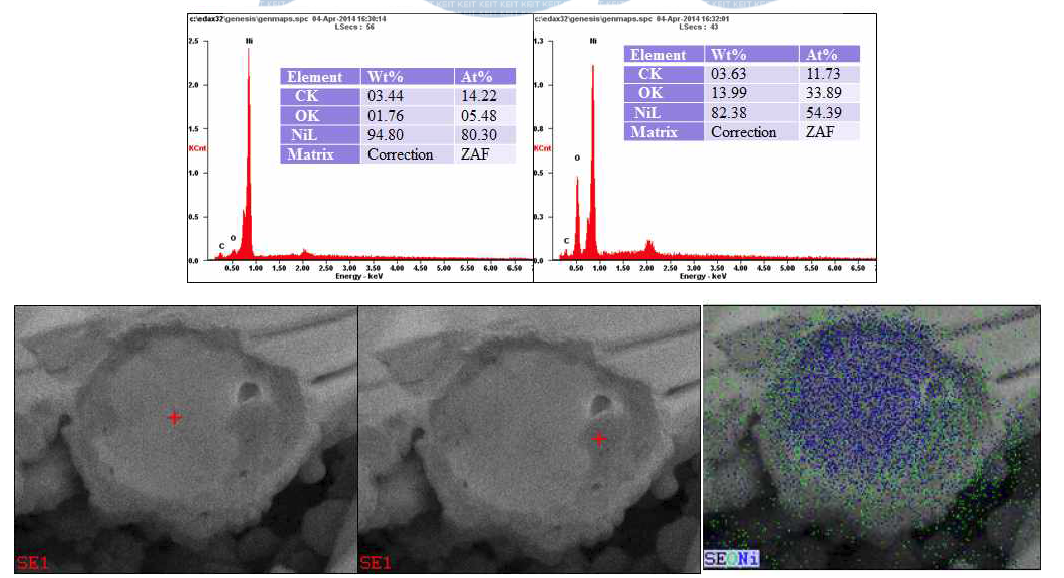 합성 YSZ을 이용한 core-shell (600℃ 2hrs 열처리) 입자의 FIB-SEM 미세구조 사진 및 EDS profile