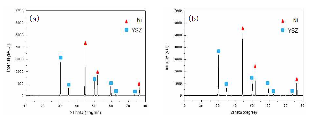 1450℃ 열처리 Ni/YSZ 복합분말의 XRD 측정