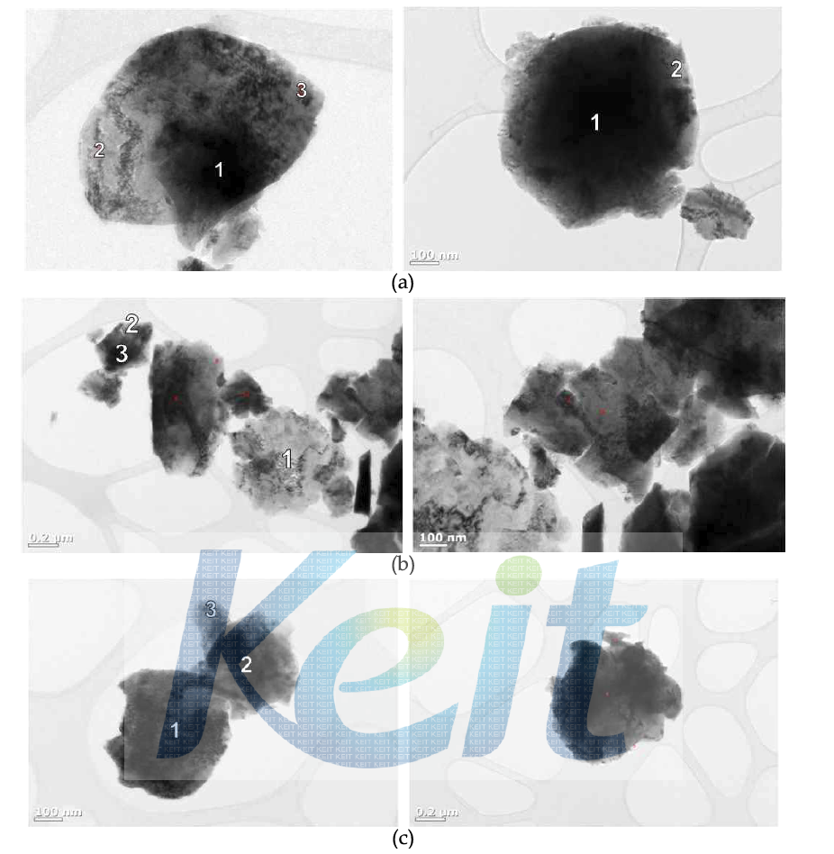 Ni core 입자크기에 따라 제조한 core-shell을 열처리한 후 분말의 TEM 이미지