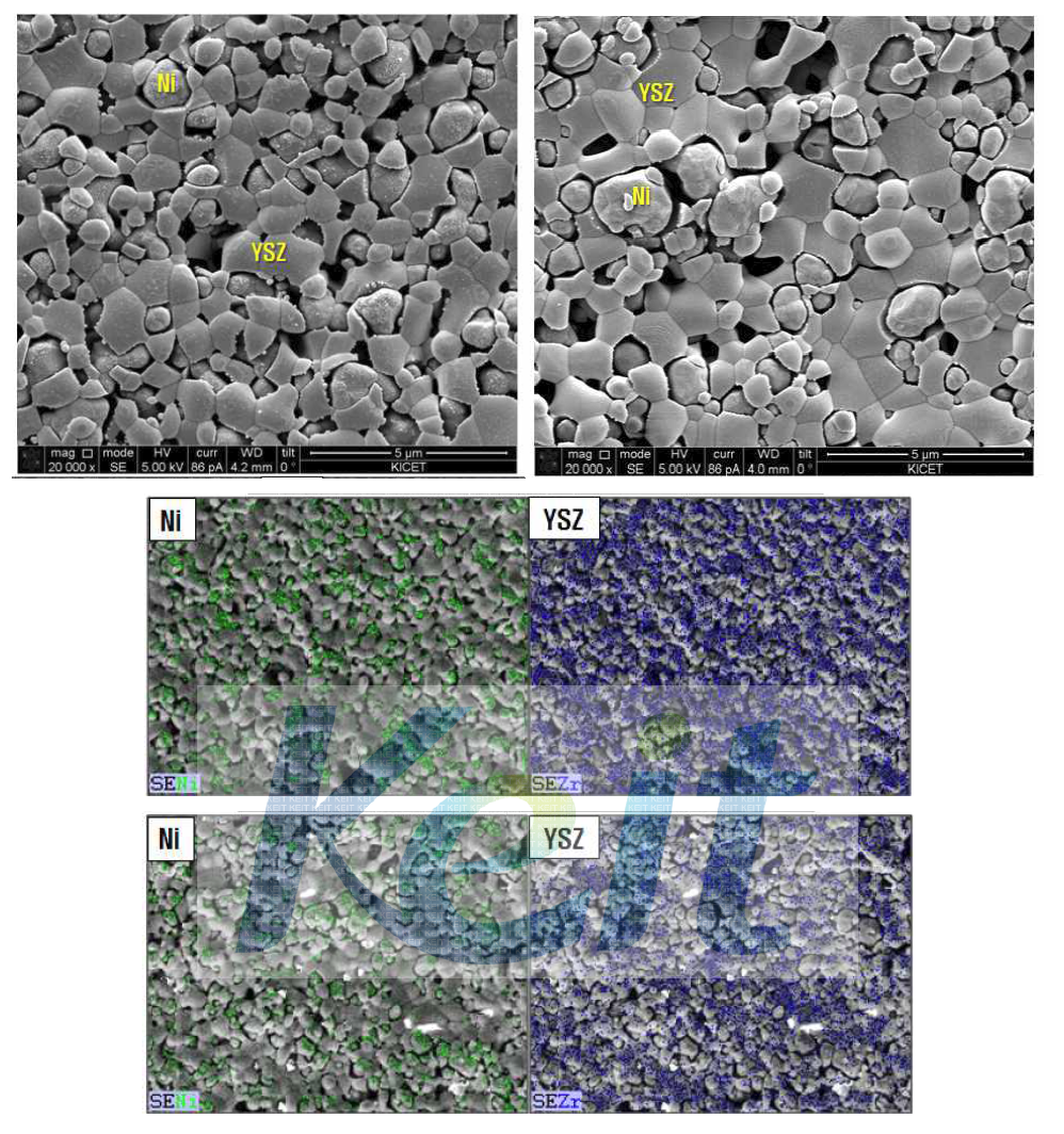 (a) 고속혼합 (b) 습식 혼합에 의해 제조된 Ni/YSZ 연료극 지지체의 EDS mapping 이미지