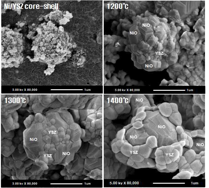 Ni/YSZ core-shell powder SEM 이미지