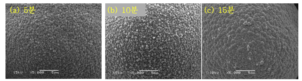 도금 시간에 따른 입자의 미세구조