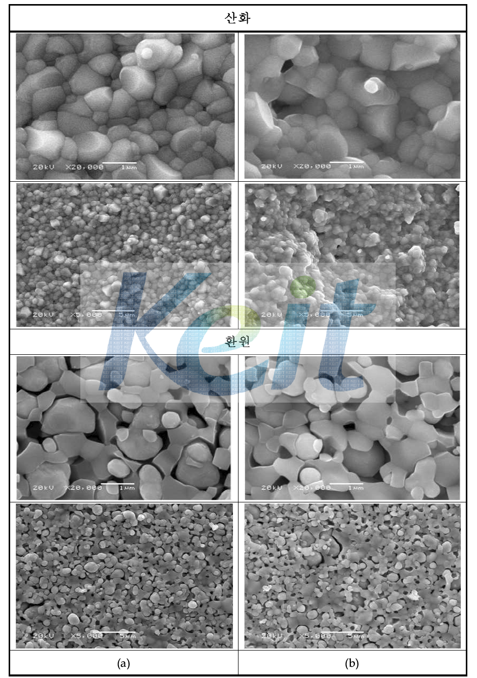 상용 Ni/YSZ 분말의 미세구조