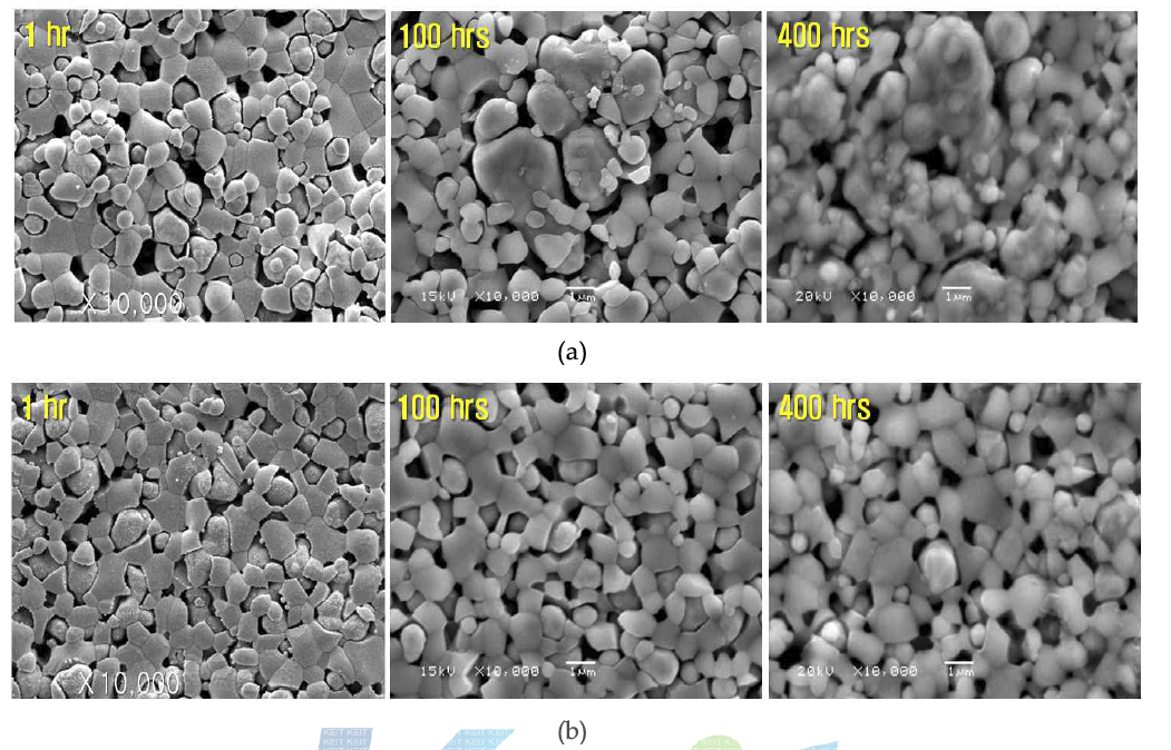 750℃ 산화 분위기에서의 (a) 습식혼합과 (b) 고속혼합 Core-shell 연료극 지지체의 미세구조 변화