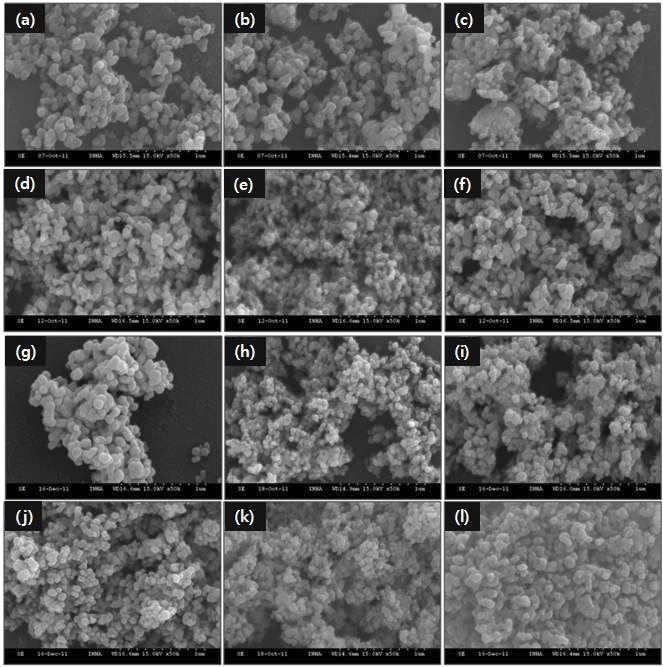 Pechini법을 이용하여 제조한 R0.08Sr0.92MxTi1-xO3-δ (R=La or Y, M=Fe, Mn or Co, x=0.1, 0.2, 0.4) 분말의 SEM 미세구조