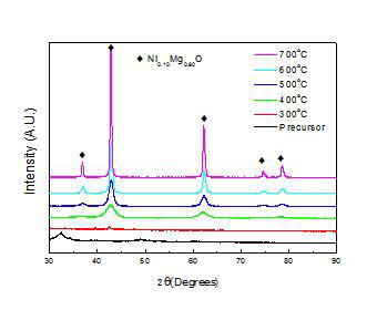 하소온도에 따른 NiO/MgO분말의 XRD patterns