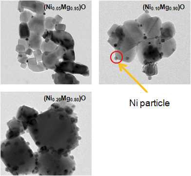 900oC에서 5시간 환원 열처리한 NixMg1-xO 나노복합분말의 TEM 미세구조 이미지
