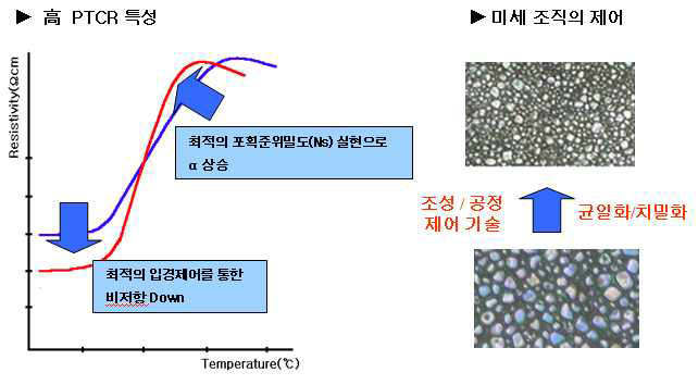 고 내압 모터기동용 PTC 소재 및 소자 개발