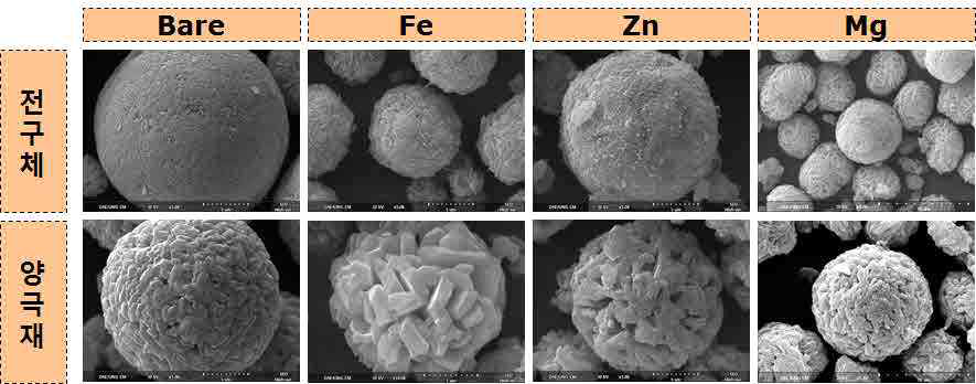도핑 원소에 따른 전구체 및 양극소재 SEM 사진