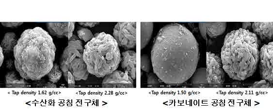 공침 전구체 SEM 사진