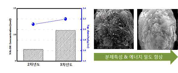 전구체 제조공정에 따른 고전압 양극소재의 분체특성 및 SEM사진