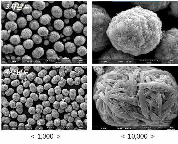 Pilot Precursor SEM image