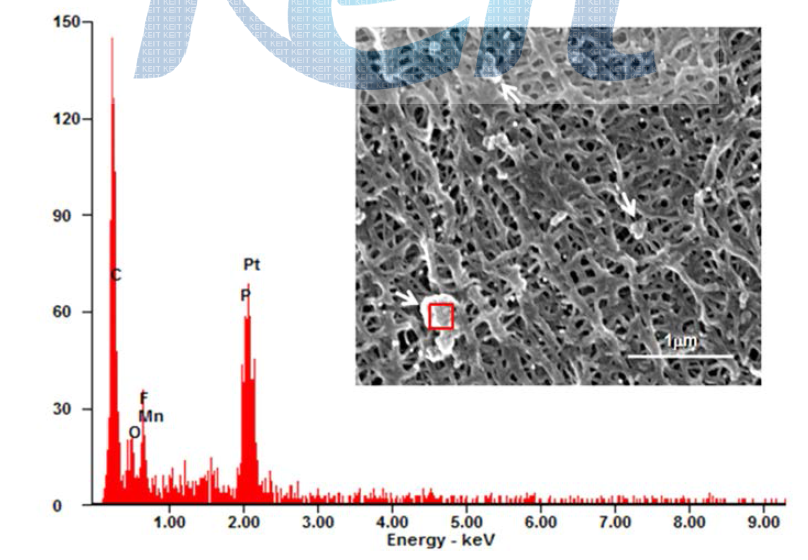 SEM image of separator retrieved from a cell charge up to 5.0V in Ref and EDS spectrum for selected zone of SEM image