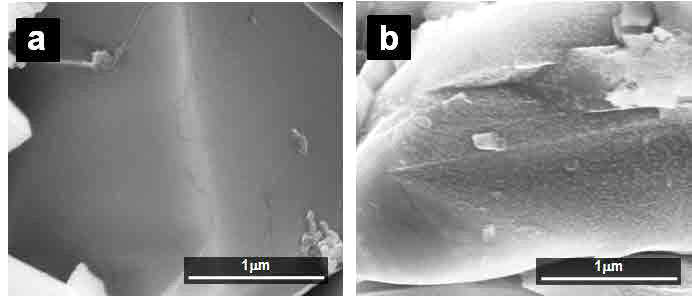 SEM images of LNMO cathode surface after 5cycles at 60oC